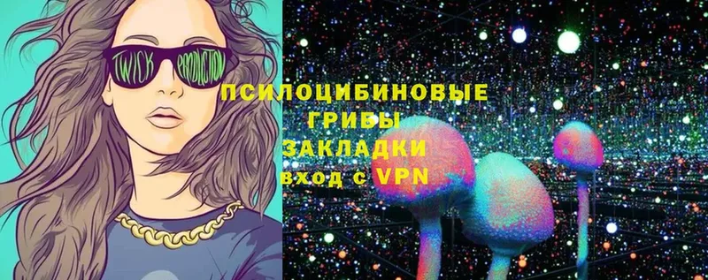 наркошоп  Чишмы  Галлюциногенные грибы Magic Shrooms 